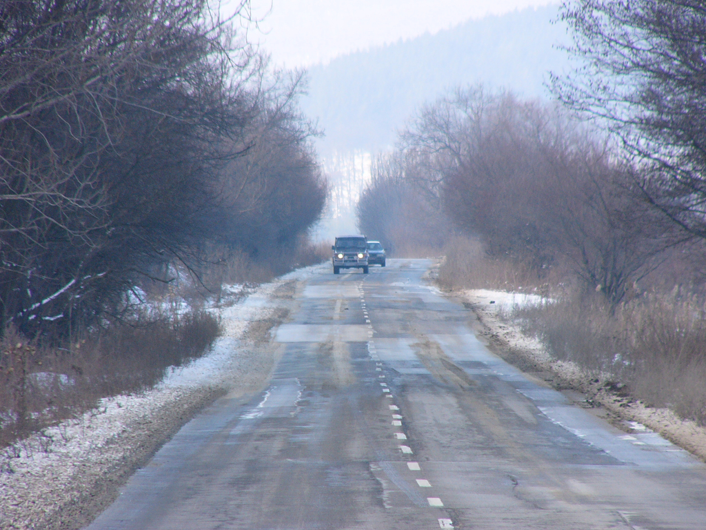 Дарик радио, архив