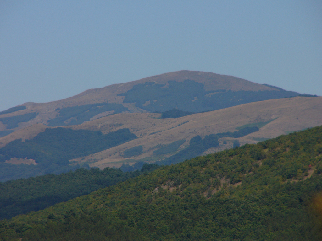 Дарик радио, архив